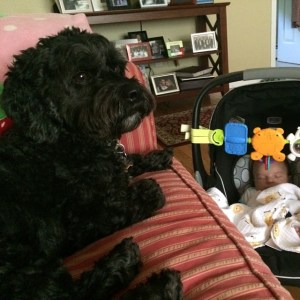 tumblr_n85phbseu31talaxzo1_1280