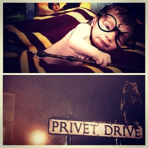 tumblr_n8j0sbSX6n1talaxzo1_1280