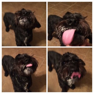 tumblr_nadnn25TXA1talaxzo1_1280