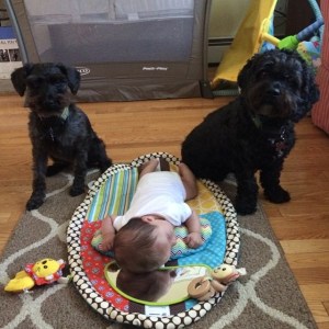 10522774_10204500799386396_7330222219536503067_n