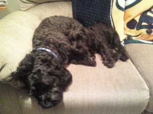 1931469_1237475943422_4338446_n