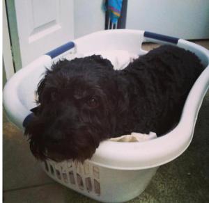 602781_10200520835409784_1854874412_n