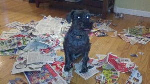 The magazine disaster of '11