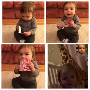 10968362_10206222292142639_5611541512821172640_n